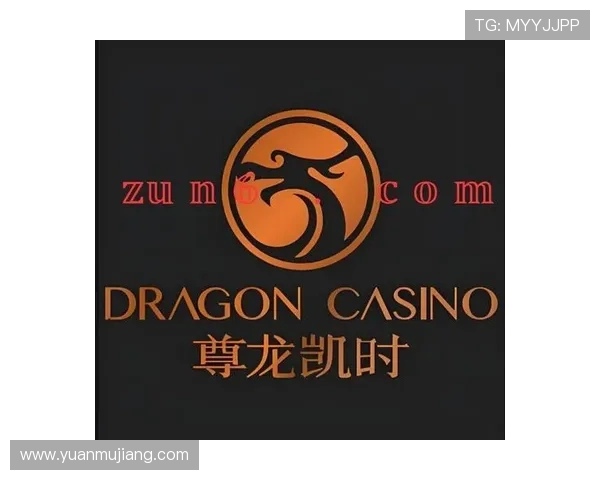 尊龙时凯官方网站入口网页版官方渠道推荐及常见问题解决方案全方位解析